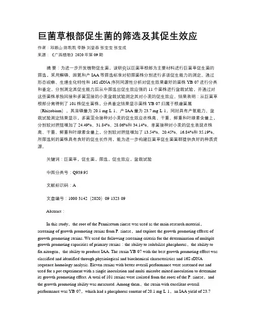 巨菌草根部促生菌的筛选及其促生效应
