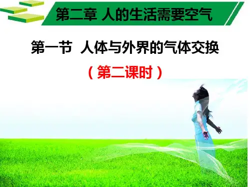 人体与外界的气体交换(第2课时)七年级下册生物课件(济南版)