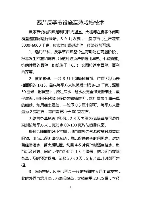 西芹反季节设施高效栽培技术