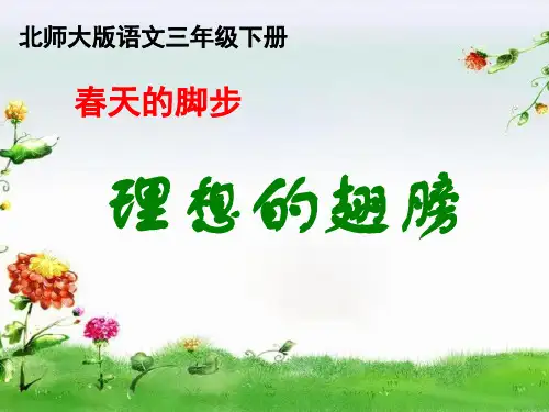 《理想的翅膀》课件PPT