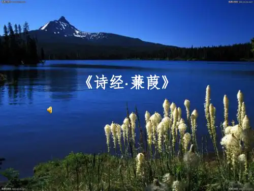 大学语文第一课(王步高老师版本)