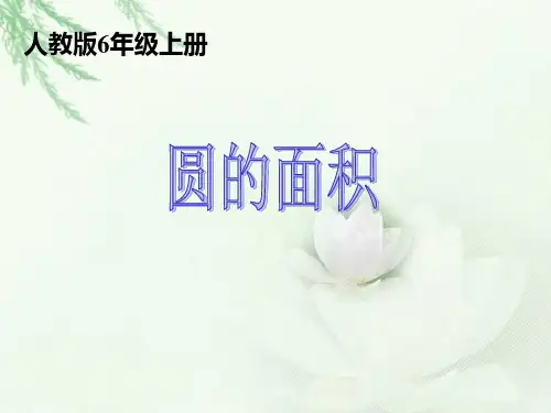 圆的面积PPT课件上课版