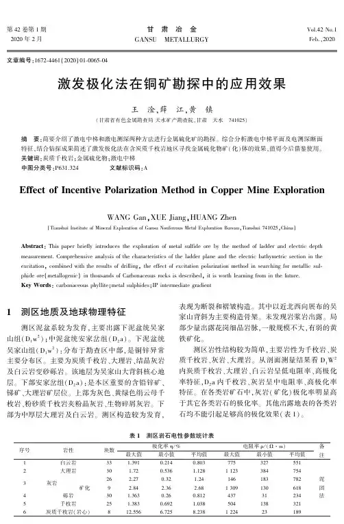 激发极化法在铜矿勘探中的应用效果