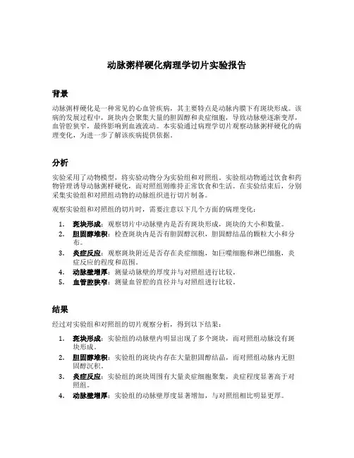 动脉粥样硬化病理学切片实验报告