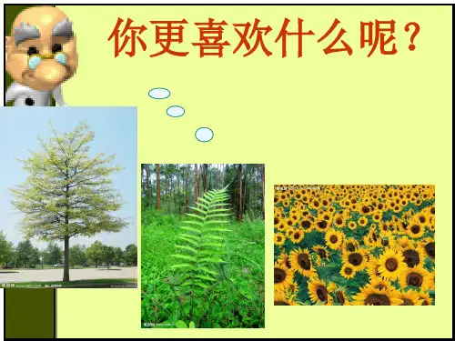 小草之歌一二课时