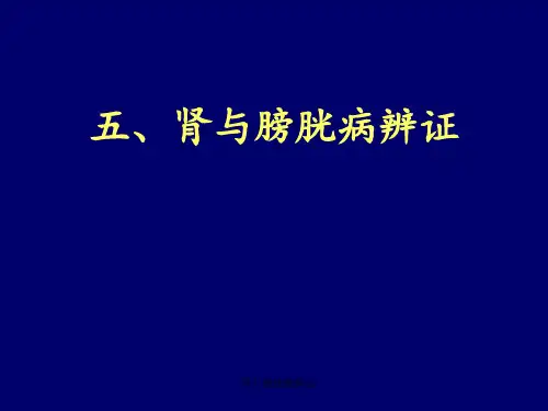 肾与膀胱病辨证 ppt课件