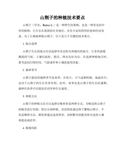 山荆子的种植技术要点