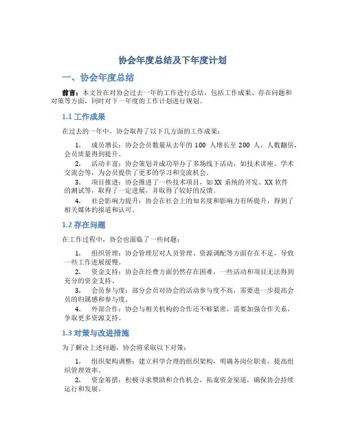 协会年度总结及下年度计划