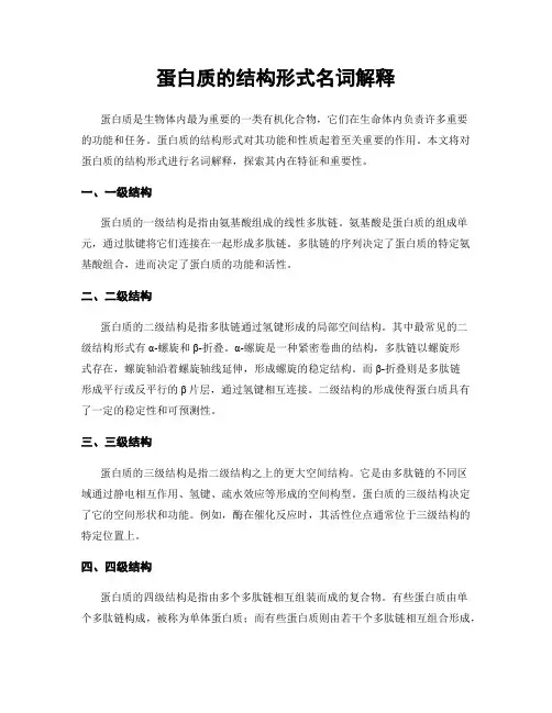蛋白质的结构形式名词解释