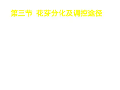 花芽分化果实发育