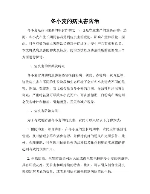冬小麦的病虫害防治