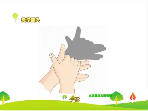 最新教科版五年级科学上册《阳光下的影子》精品课件