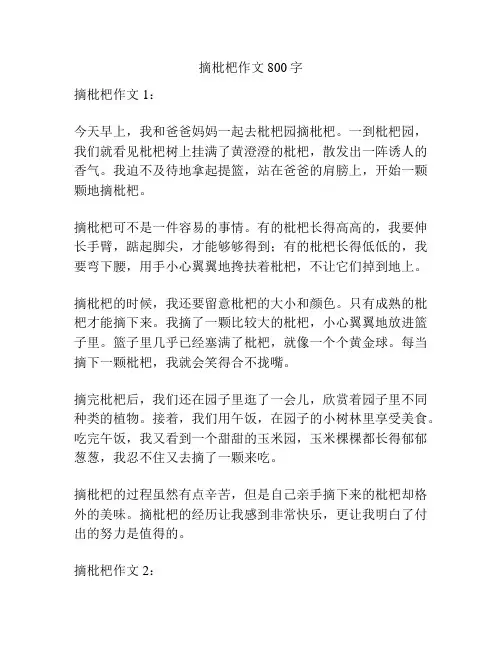 摘枇杷作文800字