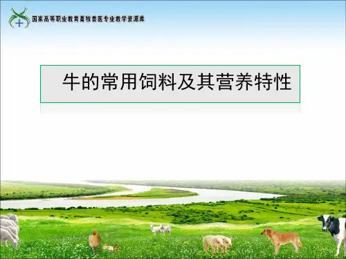 17牛的常用饲料及其营养特性(精)