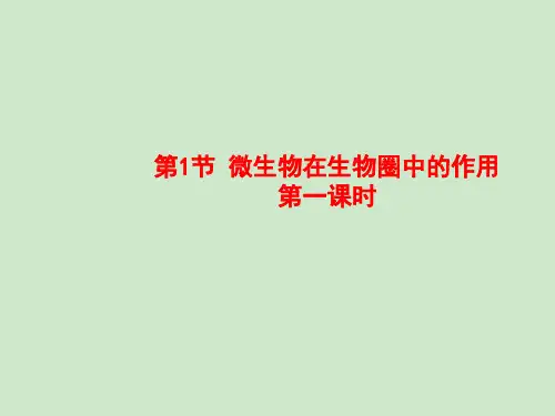 北师大版八年级上册生物  18.1 微生物在生物圈中的作用 课件   %28共31张PPT%29