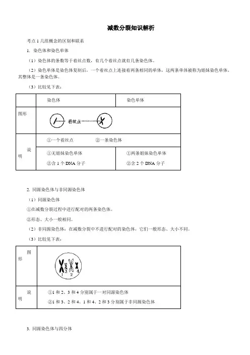 减数分裂知识解析