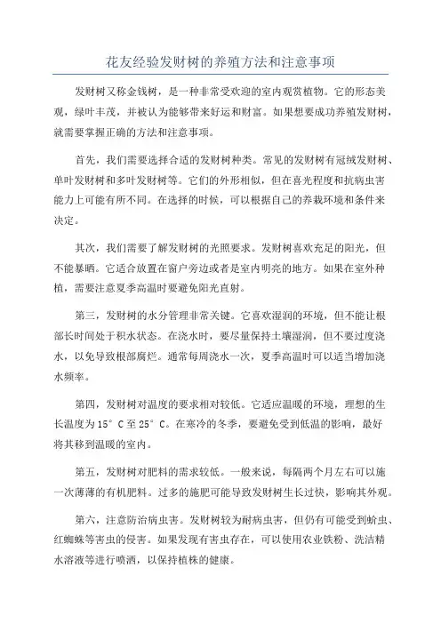 花友经验发财树的养殖方法和注意事项