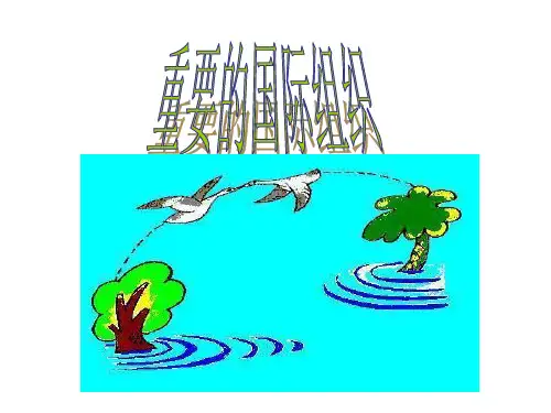 七年级地理重要的国际组织(2019年11月整理)