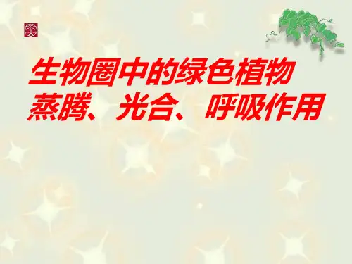 蒸腾作用、光合作用、呼吸作用(讲课课件)