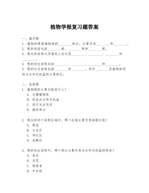 植物学根复习题答案