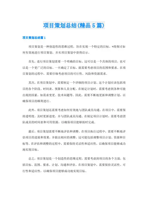 项目策划总结(精品5篇)