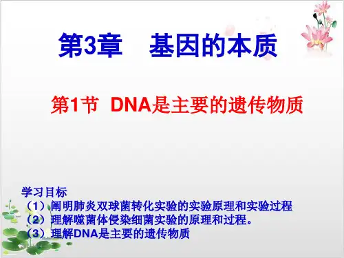 人教版高中生物必修二DNA是主要的遗传物质-ppt精品课件3
