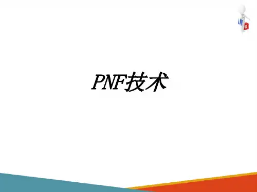 PNF技术(运动疗法课件)