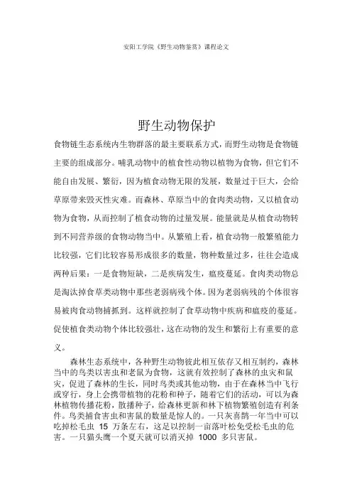 野生动物赏析论文
