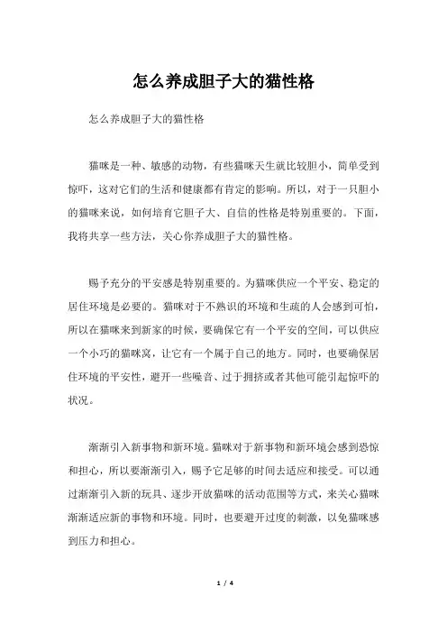 怎么养成胆子大的猫性格