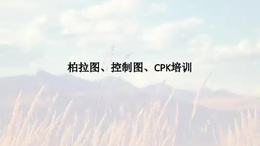 柏拉图控制图CPK