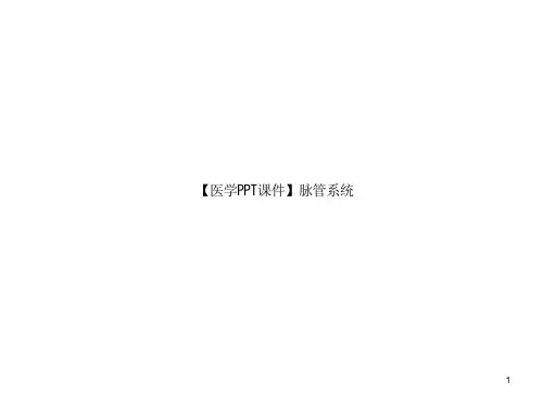 【医学课件】脉管系统