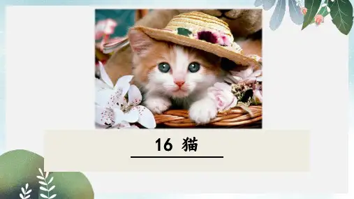 七年级语文上册 第五单元 16 猫课件 新人教版