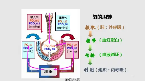 第五章-缺氧课件PPT课件
