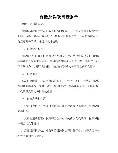保险反洗钱自查报告