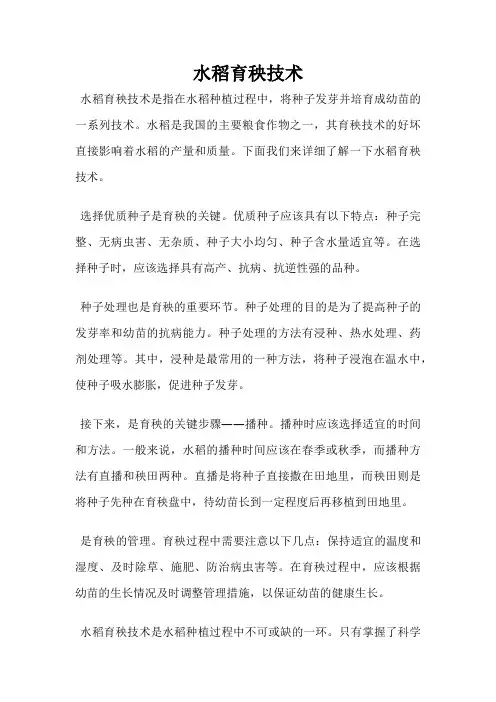 水稻育秧技术