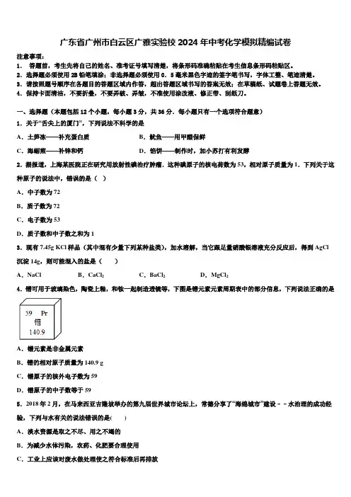 广东省广州市白云区广雅实验校2024届中考化学模拟精编试卷含解析