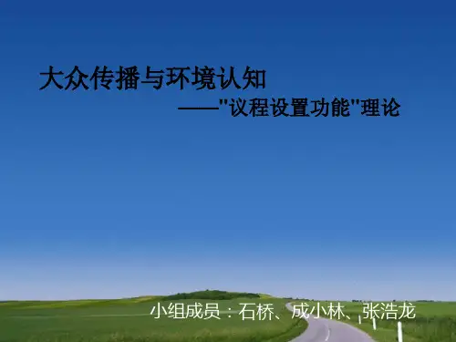 议程设置功能