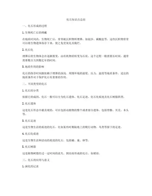 化石知识点总结