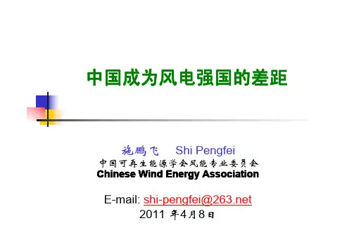 施鹏飞-中国成为风电强国的差距
