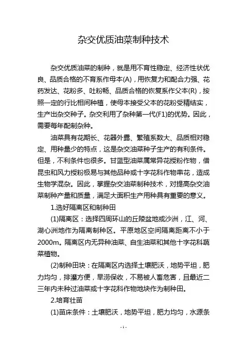 杂交优质油菜制种技术