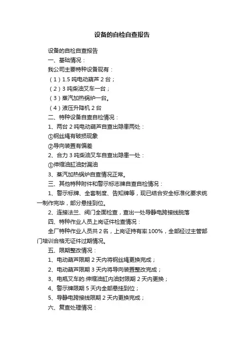 设备的自检自查报告