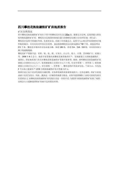 四川攀枝花钒钛磁铁矿矿床地质报告