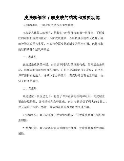 皮肤解剖学了解皮肤的结构和重要功能