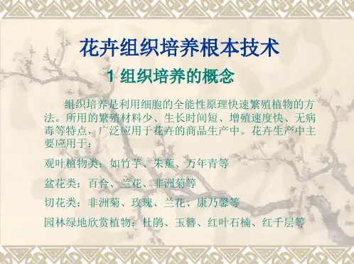 花卉组培技术