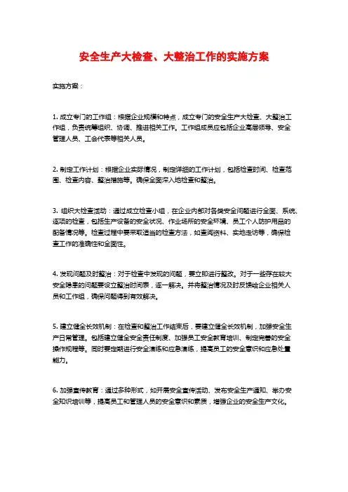安全生产大检查、大整治工作的实施方案 (2)