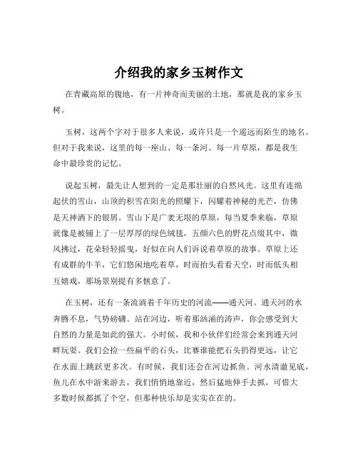 介绍我的家乡玉树作文