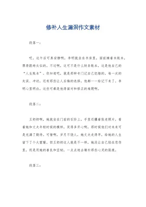 修补人生漏洞作文素材