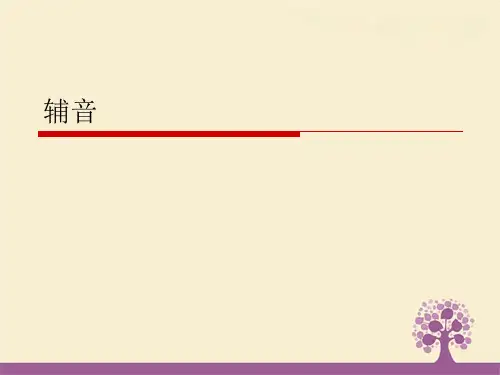 2023年初小衔接辅音音标课件