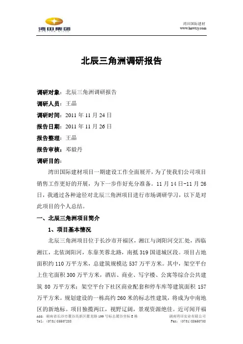 北辰三角洲调研报告