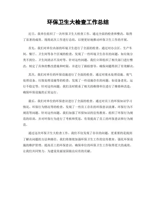 环保卫生大检查工作总结